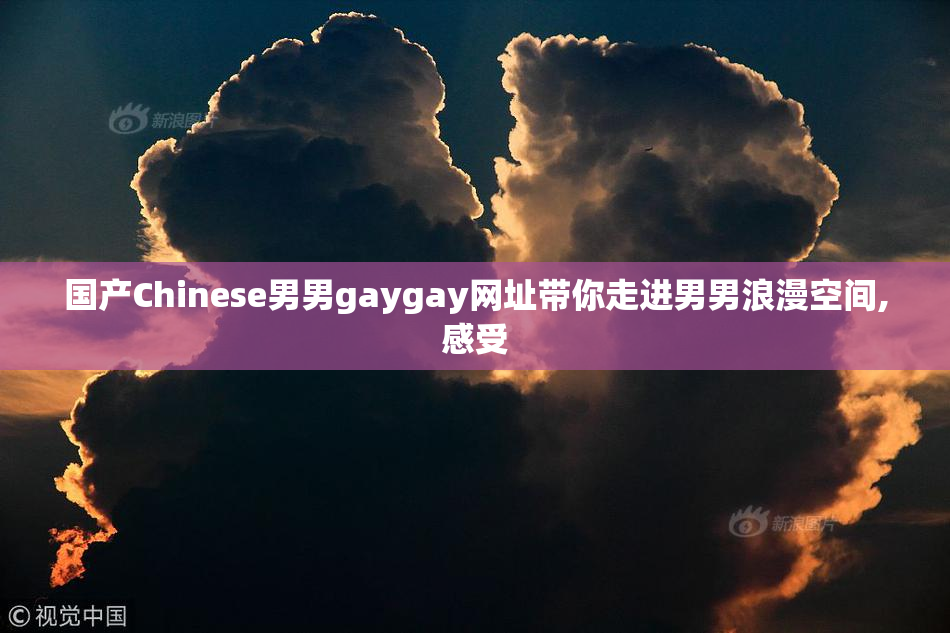 国产Chinese男男gaygay网址带你走进男男浪漫空间,感受