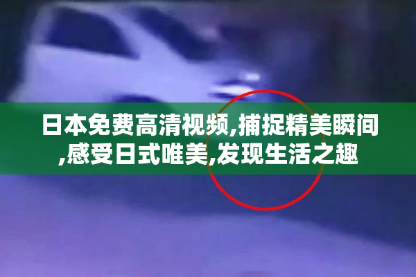 日本免费高清视频,捕捉精美瞬间,感受日式唯美,发现生活之趣