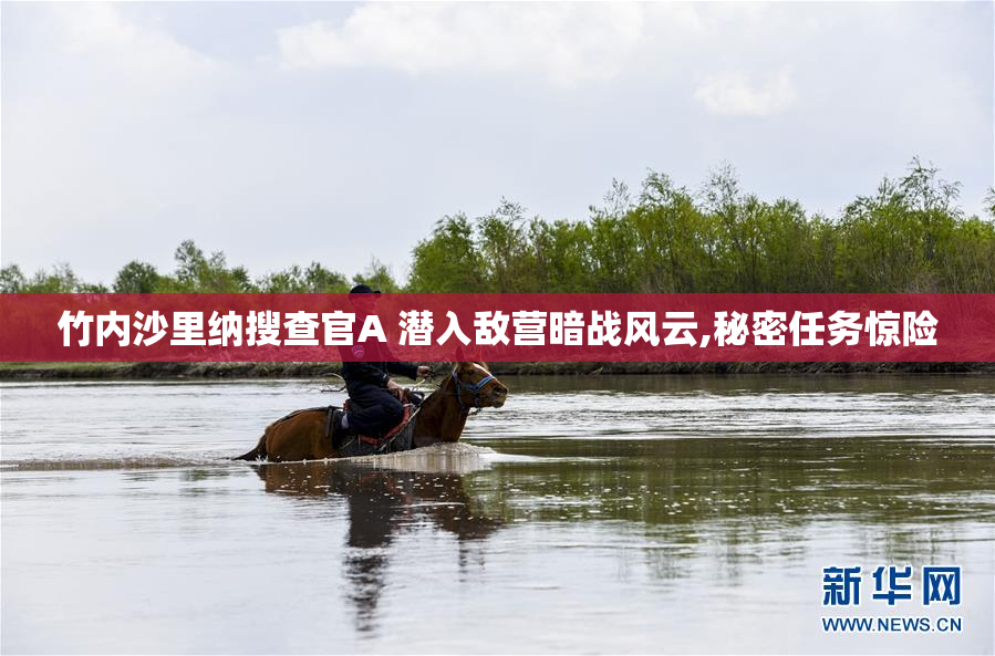竹内沙里纳搜查官A 潜入敌营暗战风云,秘密任务惊险