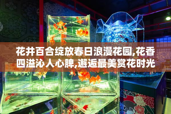 花井百合绽放春日浪漫花园,花香四溢沁人心脾,邂逅最美赏花时光
