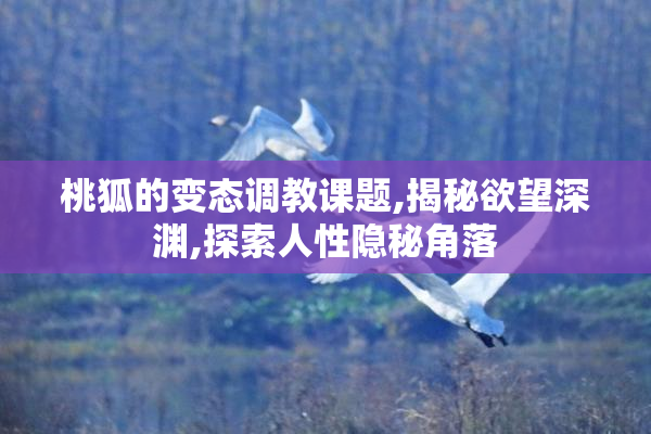 桃狐的变态调教课题,揭秘欲望深渊,探索人性隐秘角落