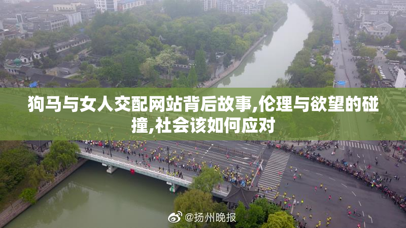 狗马与女人交配网站背后故事,伦理与欲望的碰撞,社会该如何应对