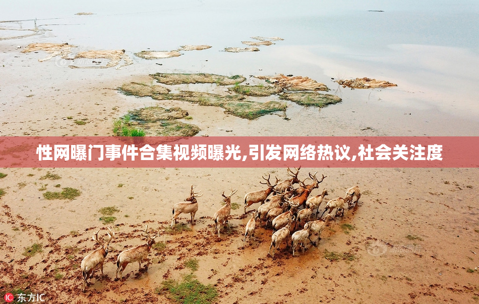 性网曝门事件合集视频曝光,引发网络热议,社会关注度