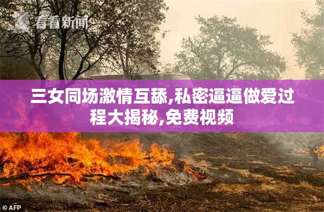 三女同场激情互舔,私密逼逼做爱过程大揭秘,免费视频