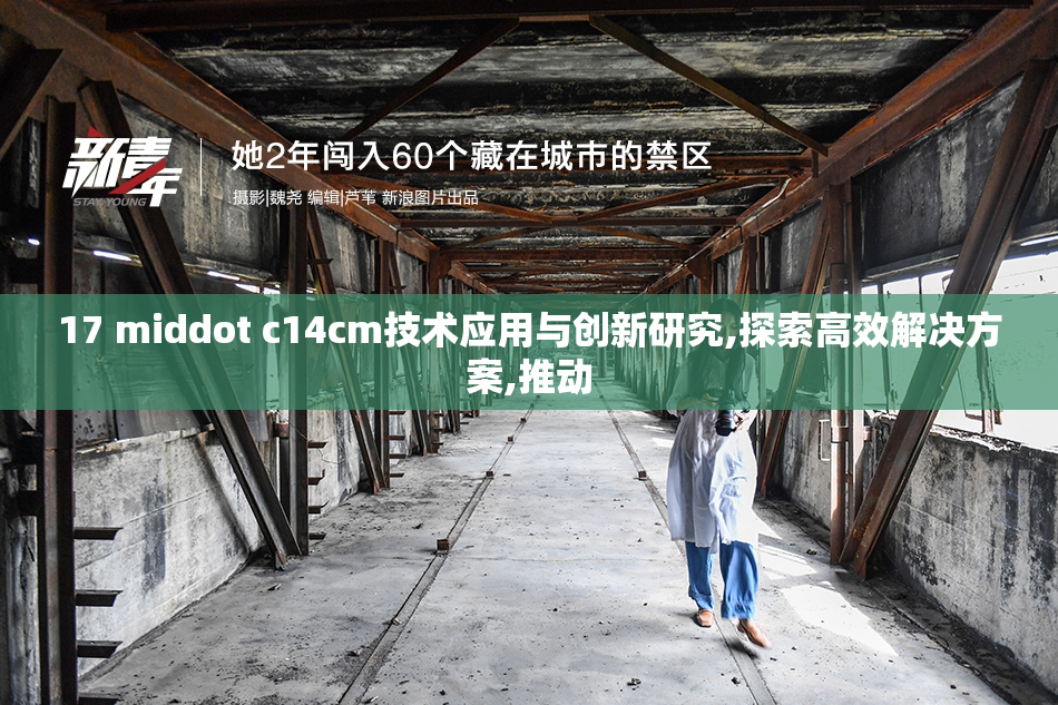 17 middot c14cm技术应用与创新研究,探索高效解决方案,推动