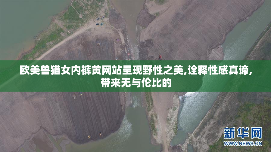 欧美兽猫女内裤黄网站呈现野性之美,诠释性感真谛,带来无与伦比的