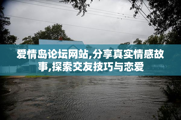 爱情岛论坛网站,分享真实情感故事,探索交友技巧与恋爱