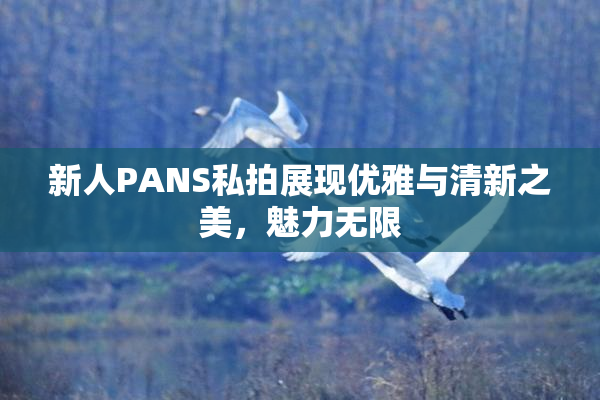 新人PANS私拍展现优雅与清新之美，魅力无限