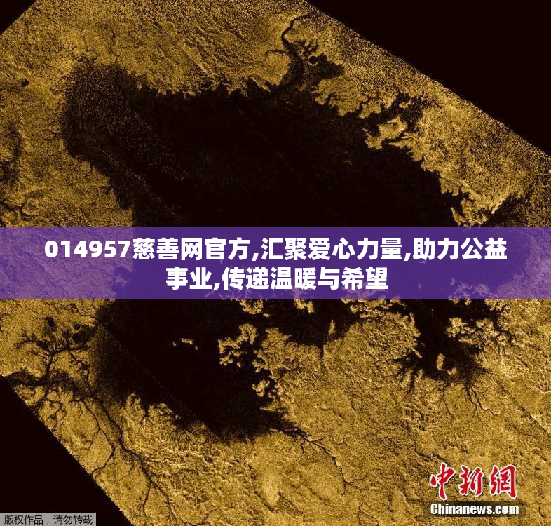 014957慈善网官方,汇聚爱心力量,助力公益事业,传递温暖与希望
