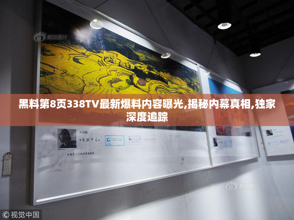 黑料第8页338TV最新爆料内容曝光,揭秘内幕真相,独家深度追踪
