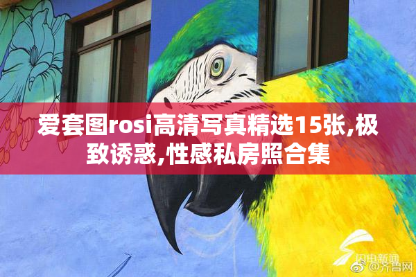 爱套图rosi高清写真精选15张,极致诱惑,性感私房照合集