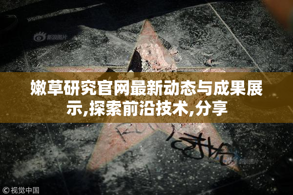 嫩草研究官网最新动态与成果展示,探索前沿技术,分享