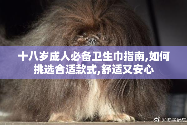 十八岁成人必备卫生巾指南,如何挑选合适款式,舒适又安心