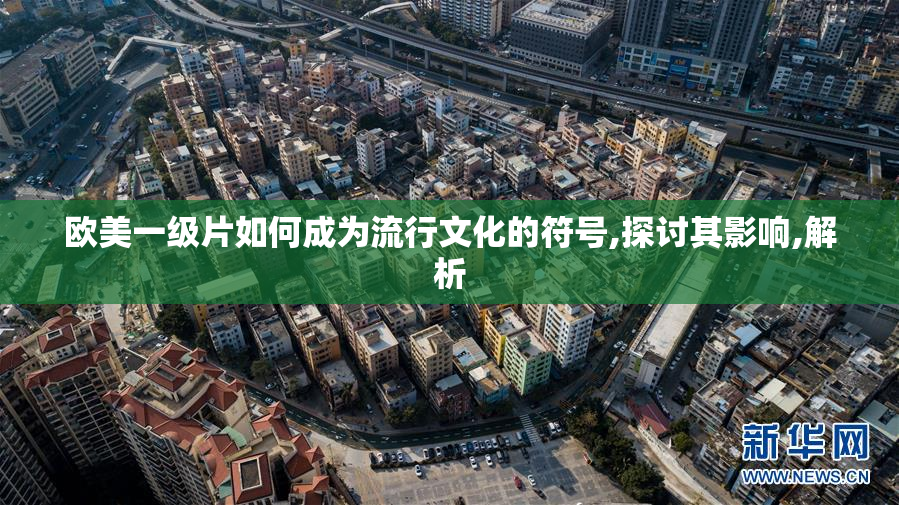 欧美一级片如何成为流行文化的符号,探讨其影响,解析