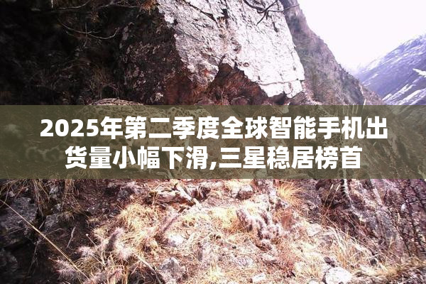 2025年第二季度全球智能手机出货量小幅下滑,三星稳居榜首
