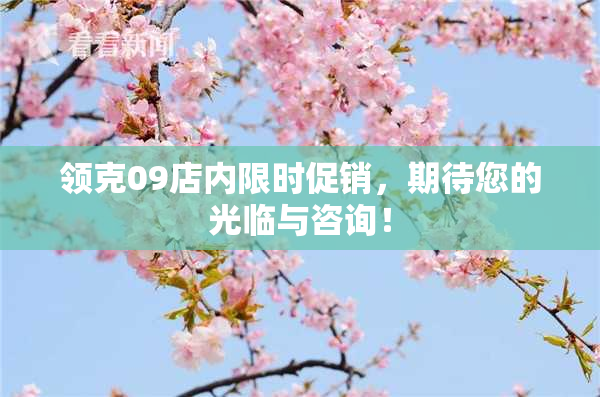领克09店内限时促销，期待您的光临与咨询！