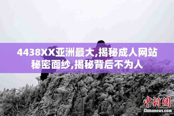4438XX亚洲最大,揭秘成人网站秘密面纱,揭秘背后不为人