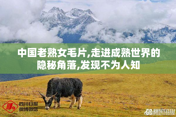 中国老熟女毛片,走进成熟世界的隐秘角落,发现不为人知