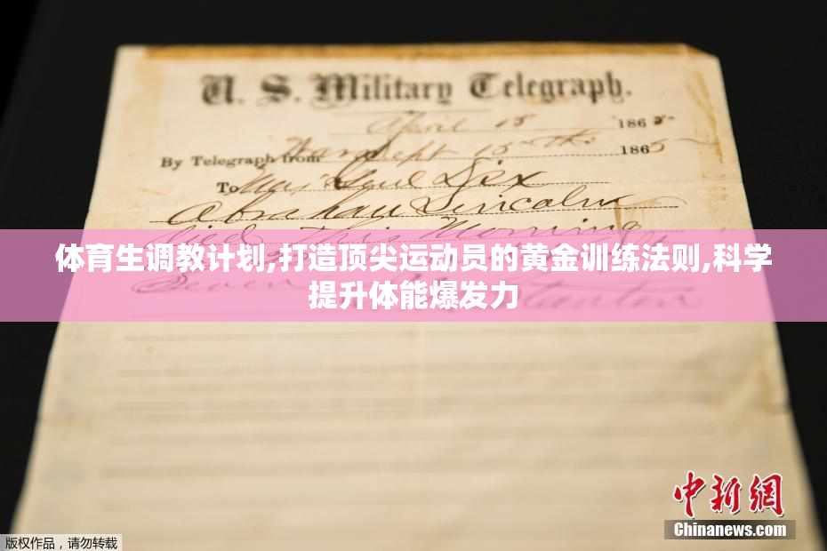 体育生调教计划,打造顶尖运动员的黄金训练法则,科学提升体能爆发力