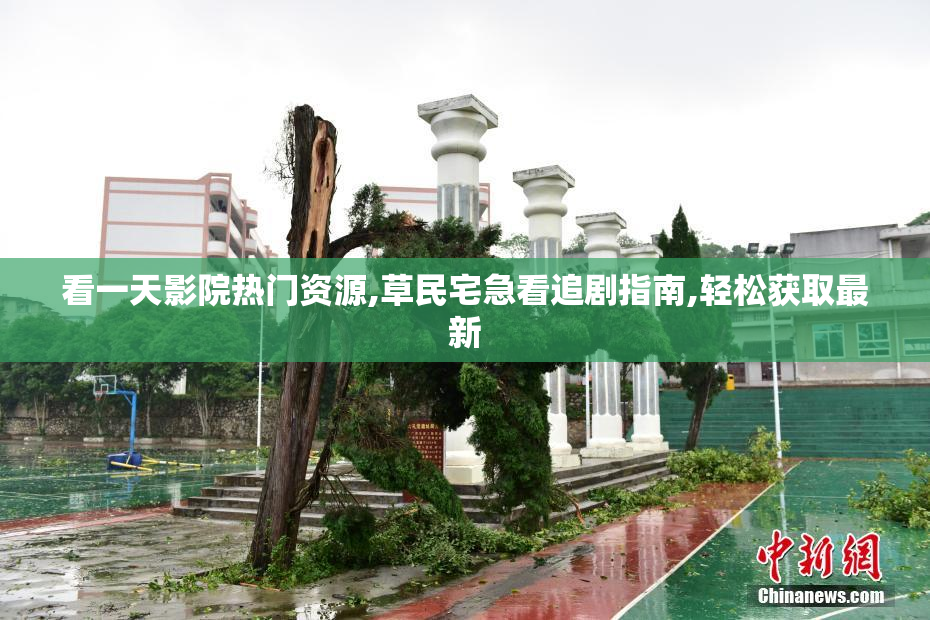看一天影院热门资源,草民宅急看追剧指南,轻松获取最新