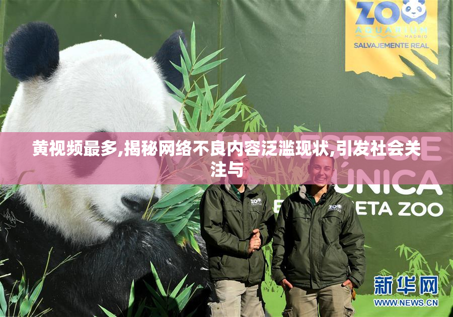 黄视频最多,揭秘网络不良内容泛滥现状,引发社会关注与
