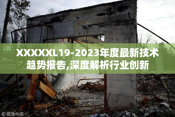 XXXXXL19-2023年度最新技术趋势报告,深度解析行业创新