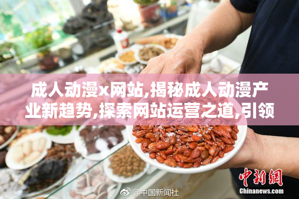 成人动漫x网站,揭秘成人动漫产业新趋势,探索网站运营之道,引领