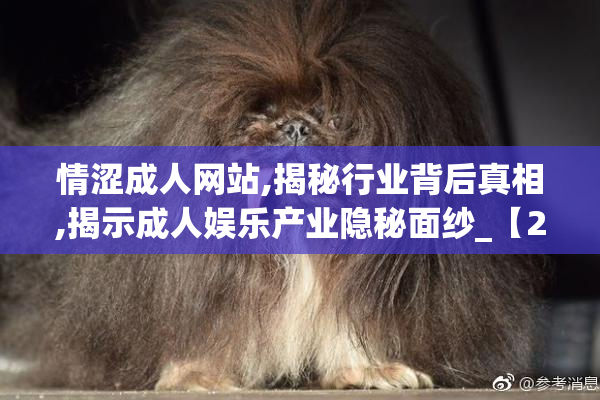 情涩成人网站,揭秘行业背后真相,揭示成人娱乐产业隐秘面纱_【2025