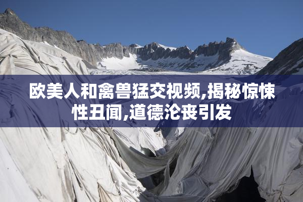 欧美人和禽兽猛交视频,揭秘惊悚性丑闻,道德沦丧引发