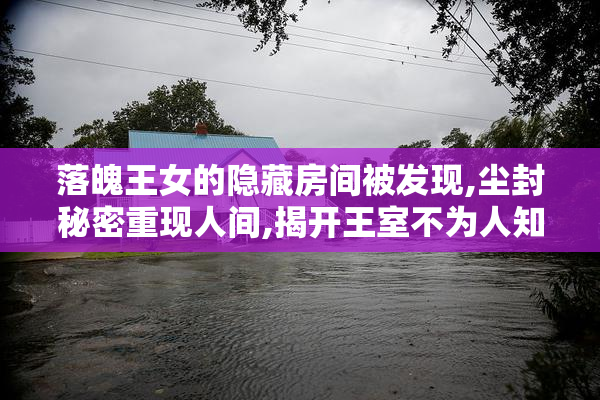 落魄王女的隐藏房间被发现,尘封秘密重现人间,揭开王室不为人知的