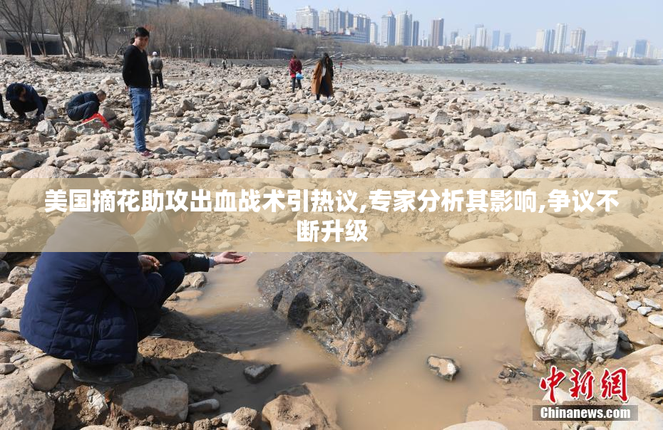 美国摘花助攻出血战术引热议,专家分析其影响,争议不断升级