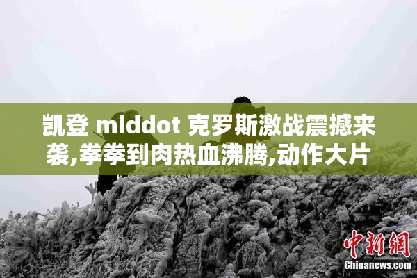 凯登 middot 克罗斯激战震撼来袭,拳拳到肉热血沸腾,动作大片