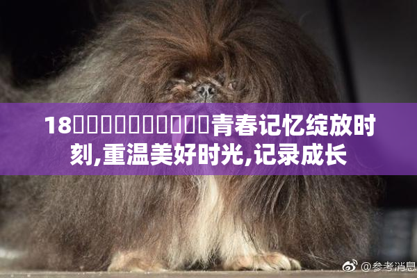 18馃埐馃悢馃悢馃悢馃悢青春记忆绽放时刻,重温美好时光,记录成长