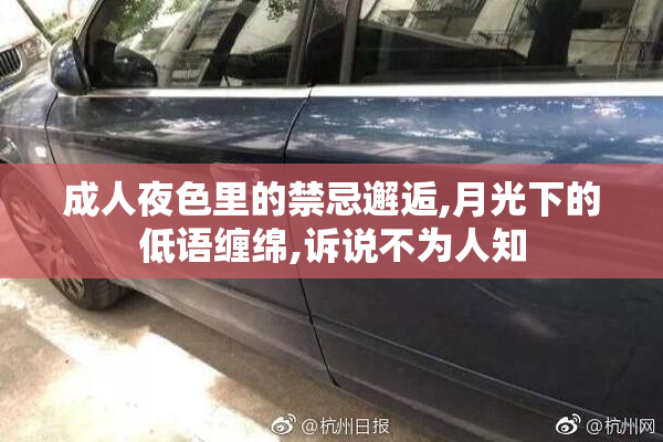 成人夜色里的禁忌邂逅,月光下的低语缠绵,诉说不为人知