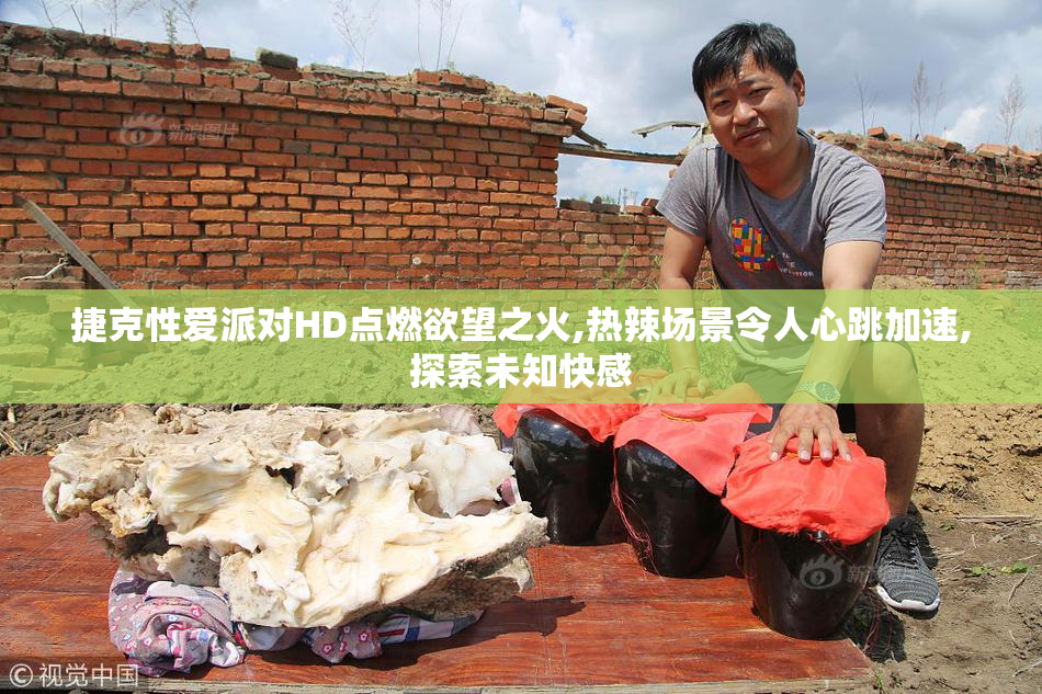 捷克性爱派对HD点燃欲望之火,热辣场景令人心跳加速,探索未知快感