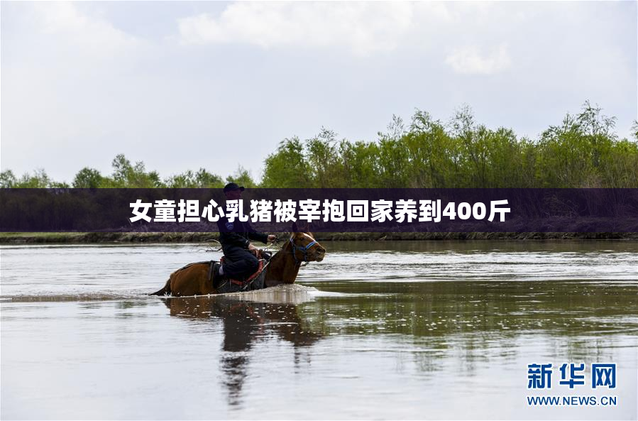 女童担心乳猪被宰抱回家养到400斤