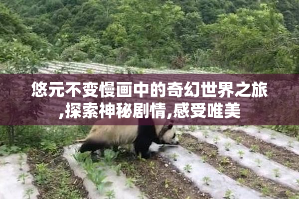 悠元不变慢画中的奇幻世界之旅,探索神秘剧情,感受唯美