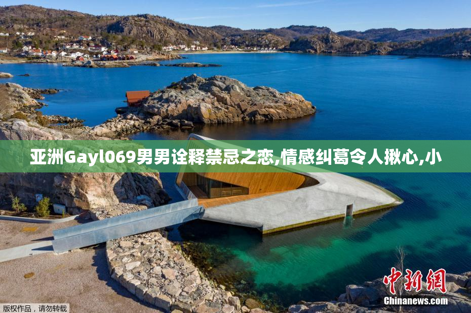 亚洲Gayl069男男诠释禁忌之恋,情感纠葛令人揪心,小