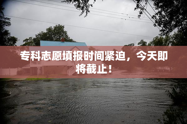 专科志愿填报时间紧迫，今天即将截止！