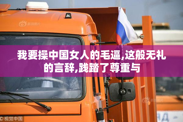 我要操中国女人的毛逼,这般无礼的言辞,践踏了尊重与