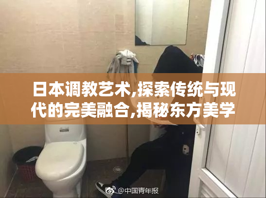 日本调教艺术,探索传统与现代的完美融合,揭秘东方美学
