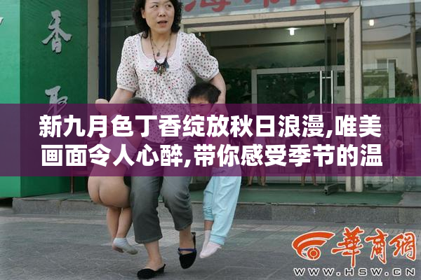 新九月色丁香绽放秋日浪漫,唯美画面令人心醉,带你感受季节的温柔