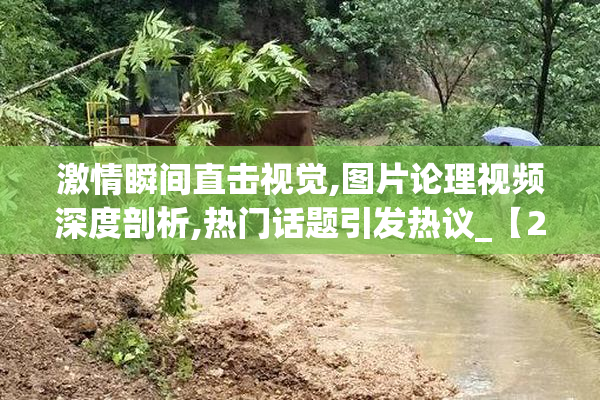 激情瞬间直击视觉,图片论理视频深度剖析,热门话题引发热议_【2025