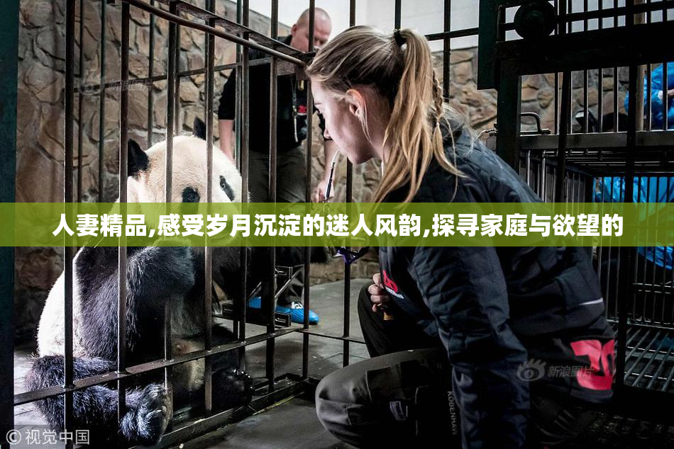 人妻精品,感受岁月沉淀的迷人风韵,探寻家庭与欲望的