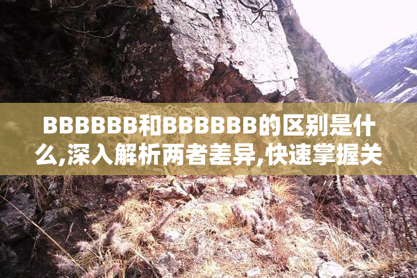 BBBBBB和BBBBBB的区别是什么,深入解析两者差异,快速掌握关键不同点