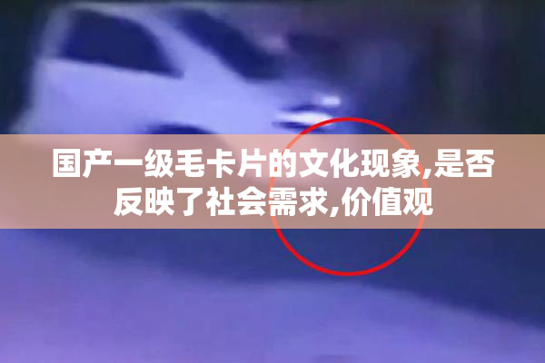 国产一级毛卡片的文化现象,是否反映了社会需求,价值观