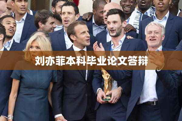 刘亦菲本科毕业论文答辩