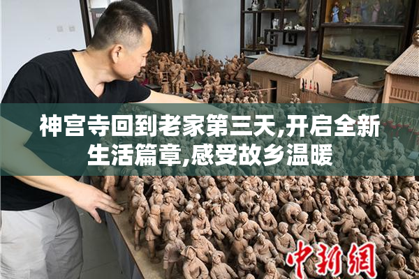 神宫寺回到老家第三天,开启全新生活篇章,感受故乡温暖