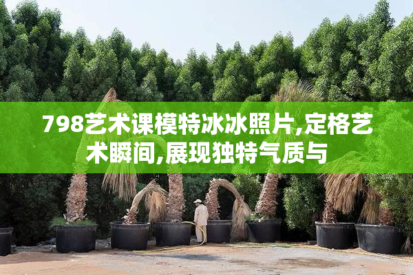798艺术课模特冰冰照片,定格艺术瞬间,展现独特气质与