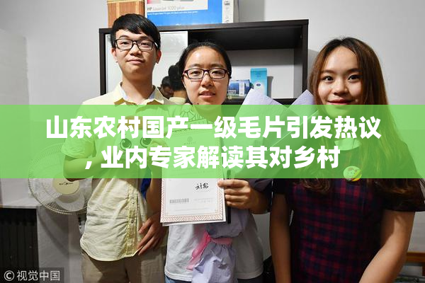 山东农村国产一级毛片引发热议, 业内专家解读其对乡村